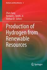 Production of Hydrogen from Renewable Resources