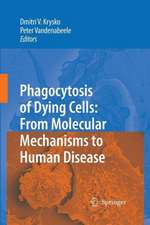 Phagocytosis of Dying Cells: From Molecular Mechanisms to Human Diseases