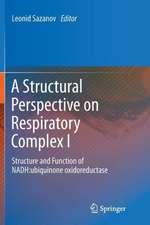 A Structural Perspective on Respiratory Complex I