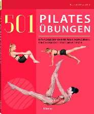 501 Pilates Übungen