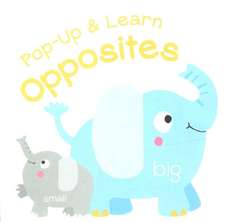 Pop Up & Learn Opposites