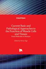 Current Basic and Pathological Approaches to the Function of Muscle Cells and Tissues