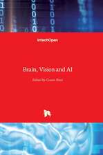 Brain, Vision and AI