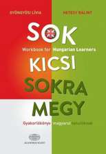 Sok kicsi sokra megy (angol) - Workbook for Hungarian Learners