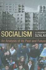 Socialism: An Analysis of Its Past and Future