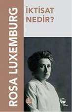 Iktisat Nedir