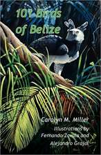 101 Birds of Belize