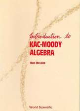 Introduction to Kac-Moody Algebras