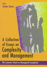 Complexity and Management: Proceedings of the Summer School on Managerial Complexity