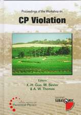 Cp Violation - Proceedings of the Workshop