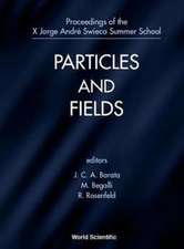 Particles and Fields, X Jorge Andre Swieca Summer School