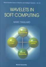 Wavelets in Soft Computing