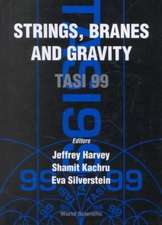 STRINGS, BRANES & GRAVITY