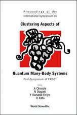 Clustering Aspects Of Quantum Many-body Systems - Proceeding