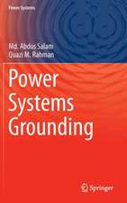 Power Systems Grounding