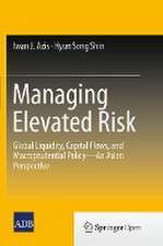 Managing Elevated Risk: Global Liquidity, Capital Flows, and Macroprudential Policy—An Asian Perspective