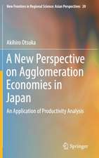 A New Perspective on Agglomeration Economies in Japan