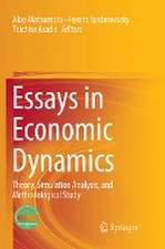 Essays in Economic Dynamics: Theory, Simulation Analysis, and Methodological Study