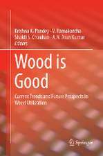 Wood is Good: Current Trends and Future Prospects in Wood Utilization