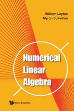 NUMERICAL LINEAR ALGEBRA