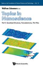 TOPICS IN NANOSCIENCE (P2)