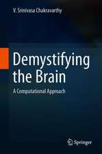 Demystifying the Brain: A Computational Approach