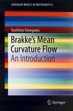 Brakke's Mean Curvature Flow