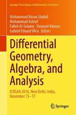 Differential Geometry, Algebra, and Analysis: ICDGAA 2016, New Delhi, India, November 15–17