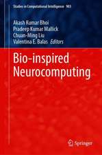 Bio-inspired Neurocomputing