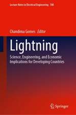 Lightning: Science, Engineering, and Economic Implications for Developing Countries