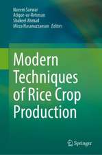 Modern Techniques of Rice Crop Production