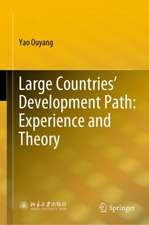 Large Countries’ Development Path: Experience and Theory