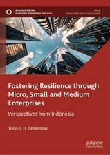 Fostering Resilience through Micro, Small and Medium Enterprises: Perspectives from Indonesia