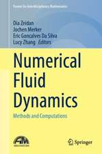 Numerical Fluid Dynamics: Methods and Computations