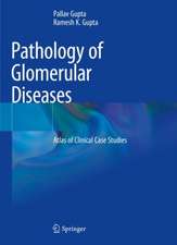 Pathology of Glomerular Diseases: Atlas of Clinical Case Studies