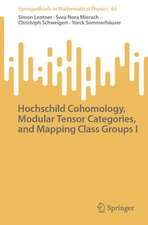 Hochschild Cohomology, Modular Tensor Categories, and Mapping Class Groups I