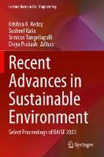 Recent Advances in Sustainable Environment: Select Proceedings of RAiSE 2022