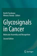 Glycosignals in Cancer: Molecular Assembly and Recognition