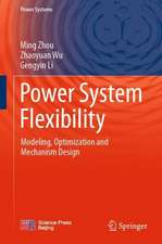 Power System Flexibility: Modeling, Optimization and Mechanism Design