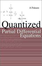 Quantized Partial Differential Equations