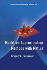 MESHFREE APPROX METHOD [W/ CD]