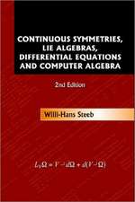 Continuous Symmetries, Lie Algebras, Differential Equations and Computer Algebra (2nd Edition)