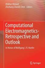 Computational Electromagnetics—Retrospective and Outlook: In Honor of Wolfgang J.R. Hoefer