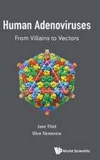 Human Adenoviruses: From Villains to Vectors