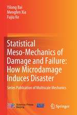 Statistical Meso-Mechanics of Damage and Failure: How Microdamage Induces Disaster: Series Publication of Multiscale Mechanics