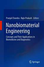 Nanobiomaterial Engineering: Concepts and Their Applications in Biomedicine and Diagnostics