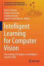 Intelligent Learning for Computer Vision