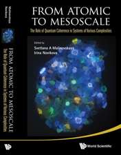 From Atomic to Mesoscale