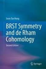 BRST Symmetry and de Rham Cohomology 