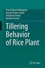 Tillering Behavior of Rice Plant